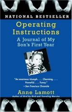 Operating Instructions by Anne Lamott