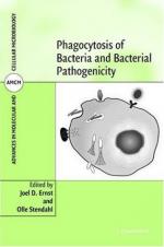 Phagocytosis by 
