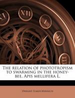 Phototropism by 