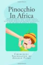 Pinocchio in Africa by 