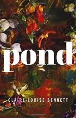 Pond: A Novel by Claire-Louise Bennett