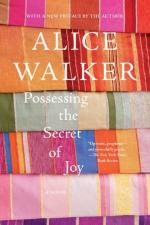 Possessing the Secret of Joy by Alice Walker
