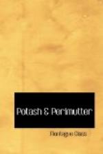 Potash & Perlmutter by 