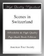 Scenes in Switzerland by American Tract Society