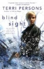 Sight to the Blind