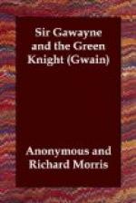Sir Gawayne and the Green Knight by 