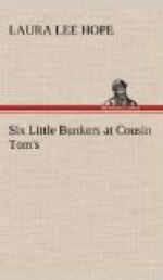 Six Little Bunkers at Cousin Tom's by Laura Lee Hope