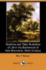 Sketches and Tales Illustrative of Life in the Backwoods of New Brunswick by 