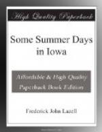 Some Summer Days in Iowa by 