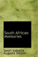 South African Memories by 
