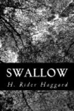 Swallow: a tale of the great trek by H. Rider Haggard