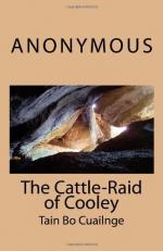 The Cattle Raid of Cooley by Anonymous