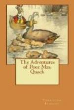 The Adventures of Poor Mrs. Quack by Thornton Burgess