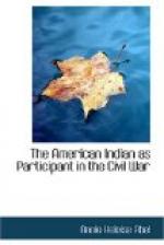 The American Indian as Participant in the Civil War by 