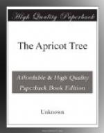 The Apricot Tree
