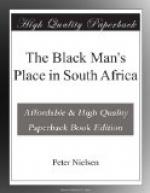 The Black Man's Place in South Africa by 