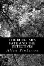 The Burglar's Fate And The Detectives