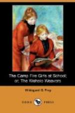 The Camp Fire Girls at School by 