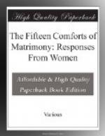 The Fifteen Comforts of Matrimony: Responses From Women by 