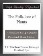 The Folk-lore of Plants by 