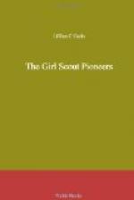 The Girl Scout Pioneers by 
