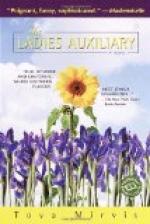 The Ladies Auxiliary by Tova Mirvis
