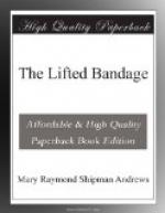 The Lifted Bandage by 
