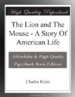 The Lion and the Mouse; a Story of an American Life by 