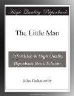The Little Man by John Galsworthy