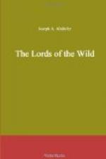The Lords of the Wild by Joseph Alexander Altsheler