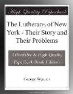 The Lutherans of New York by 