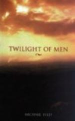 The Man in the Twilight by 