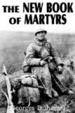 The New Book of Martyrs by 