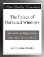 The Palace of Darkened Windows by 