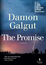 The Promise: A Novel by Damon Galgut