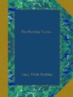 The Puritan Twins by Lucy Fitch Perkins