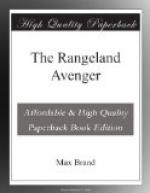 The Rangeland Avenger by Max Brand