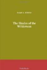 The Shades of the Wilderness by Joseph Alexander Altsheler