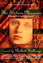 The Sixteen Pleasures by Robert Hellenga