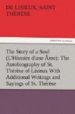 The Story of a Soul (L'Histoire d'une Âme): The Autobiography of St. Thérèse of Lisieux by Thérèse de Lisieux