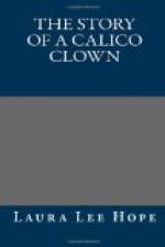 The Story of Calico Clown by Laura Lee Hope