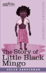 The Story of Little Black Mingo by Helen Bannerman
