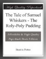 The Tale of Samuel Whiskers or, The Roly-Poly Pudding by Beatrix Potter
