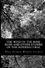 The Wind in the rose-bush and other stories of the supernatural by Mary Eleanor Wilkins Freeman