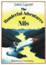 The Wonderful Adventures of Nils by Selma Lagerlöf