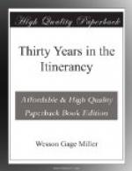 Thirty Years in the Itinerancy by 