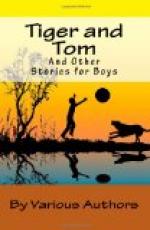 Tiger and Tom and Other Stories for Boys by 