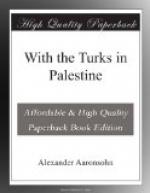With the Turks in Palestine by 