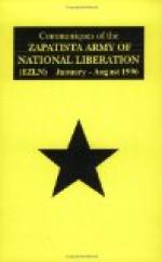 Zapatista Army of National Liberation by 