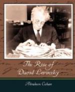 Critical Essay by Sanford E. Marovitz by 